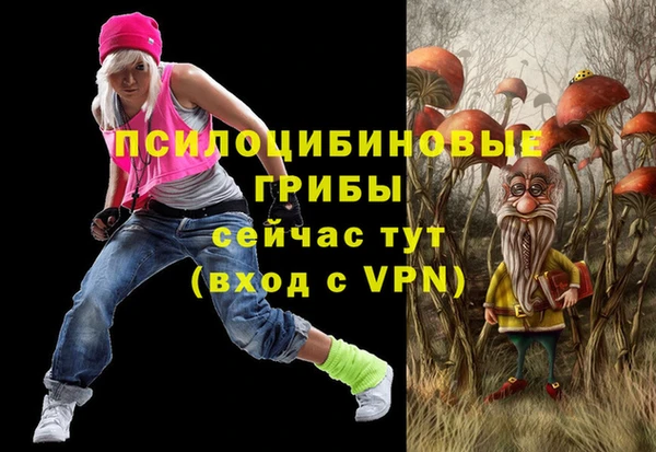 спиды Медногорск