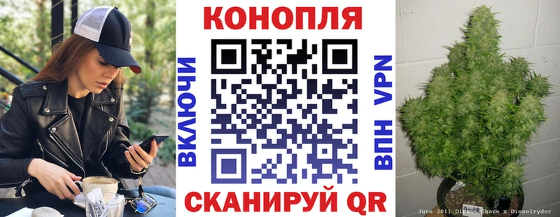 Каннабис сатива Ессентукская